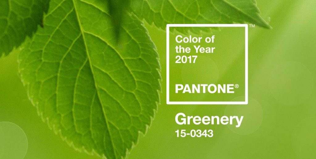 Pantone Color Of The Year 2017 Greenery Pss Pantone