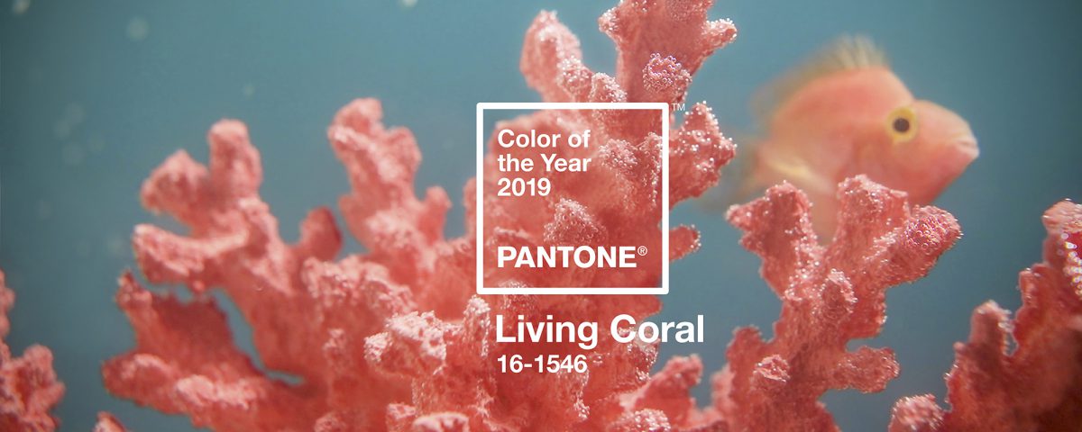 pantone-color-of-the-year-2019-living-coral